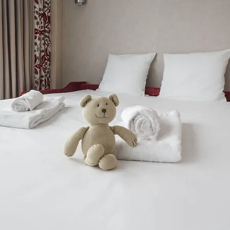 Hotel Mercure Ferrand Centre Jaude